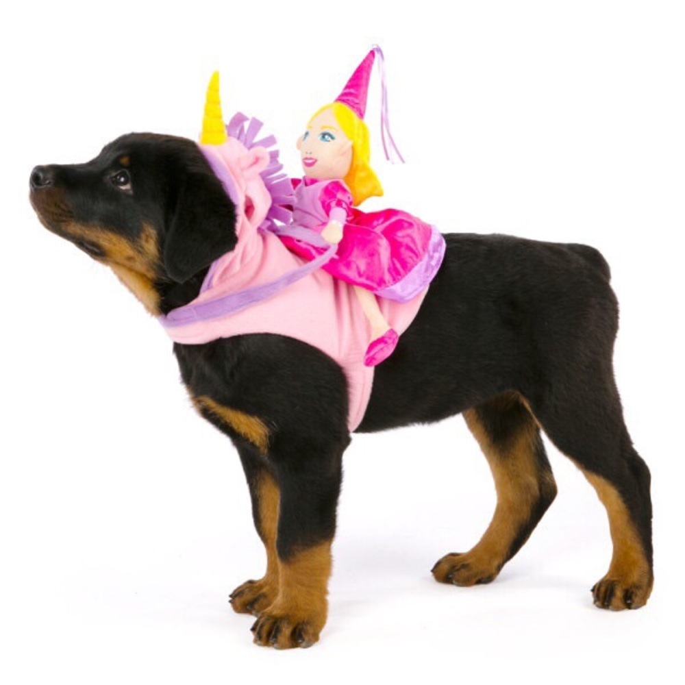 NWT pet costume
